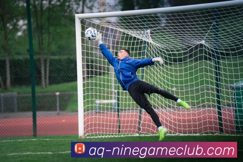 九游官方网站APP 封面图